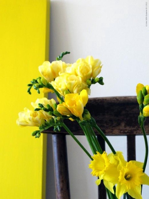 20120504-113702.jpg